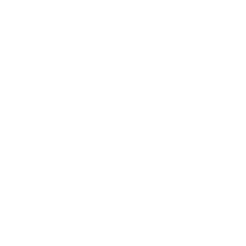 100% Guarantee